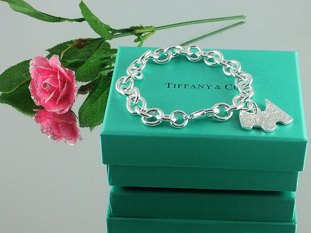 tiffany chain-101